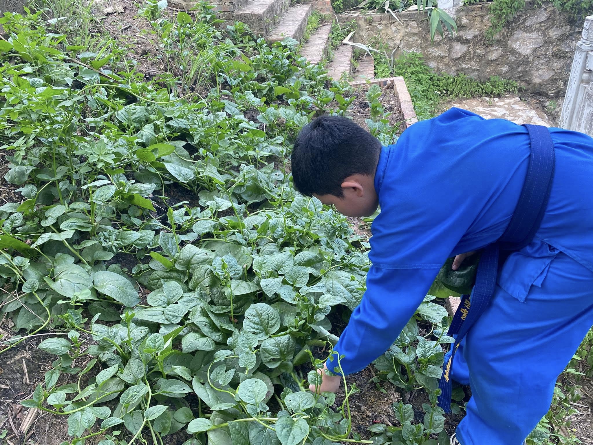 Phim trường BBK