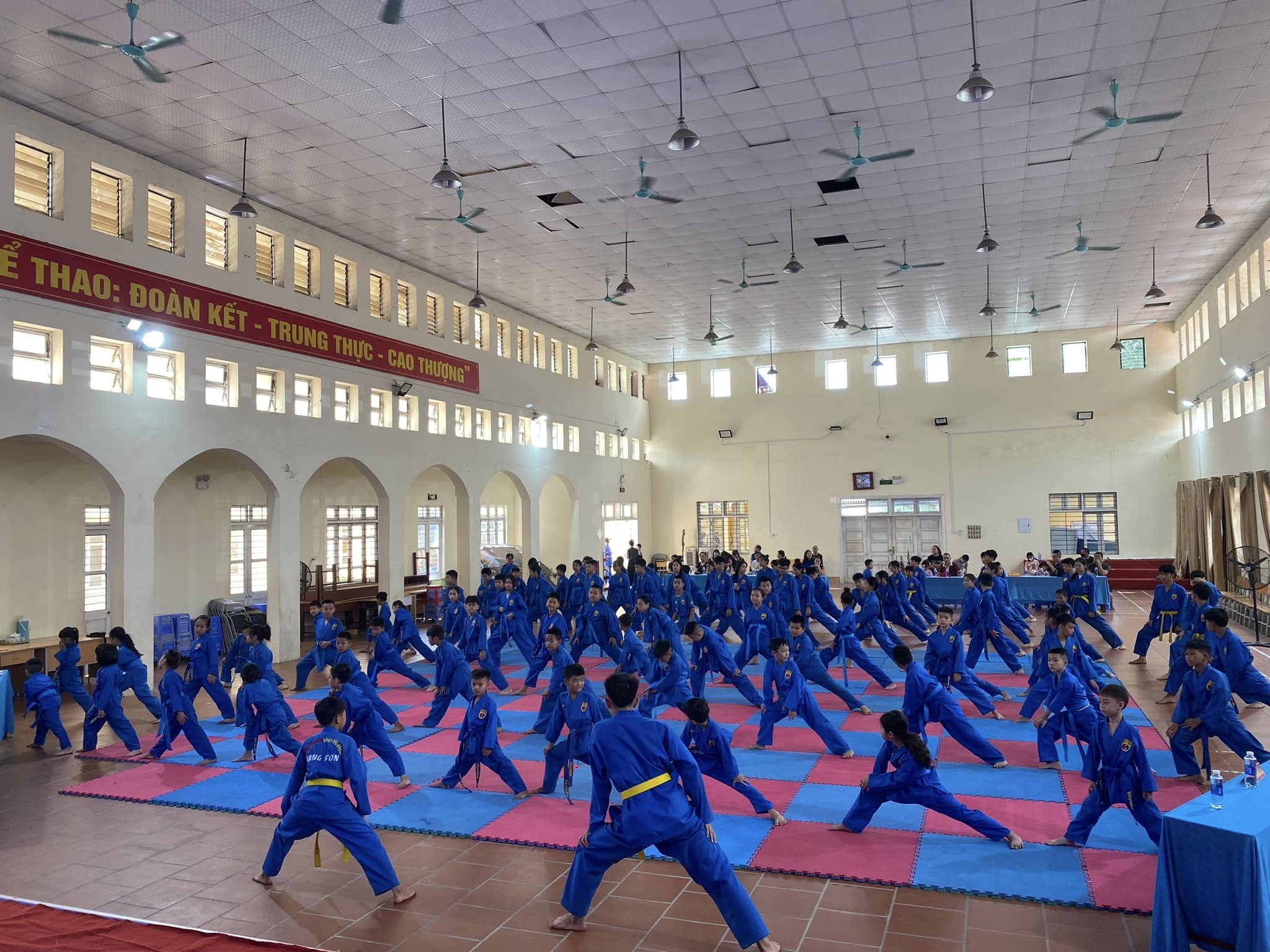 Đòn thế Vovinam